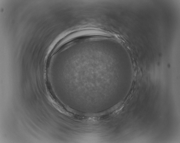 X0000056000056200509021714