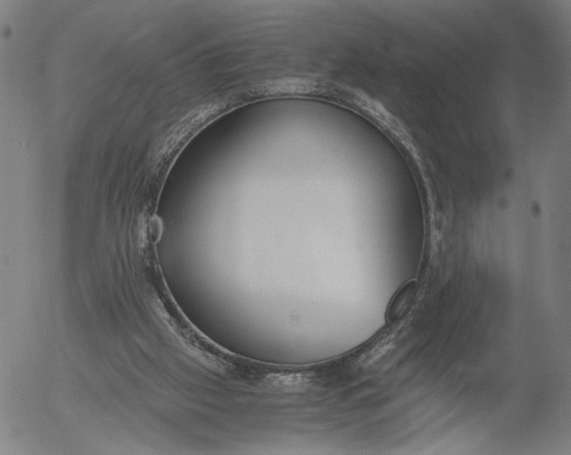 X0000056000057200509021714