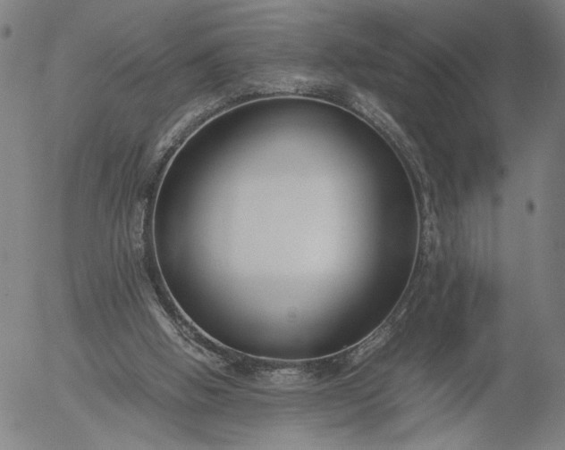 X0000056000058200509021714