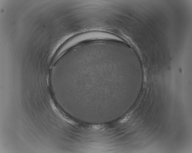 X0000056000060200509021715