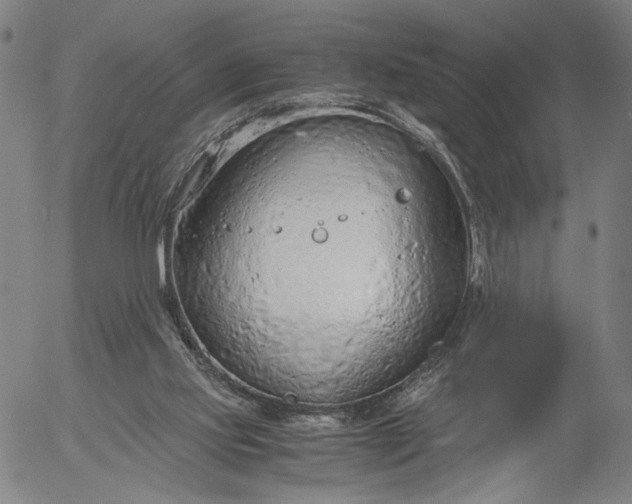 X0000056000061200509021715