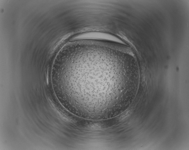 X0000056000062200509021715