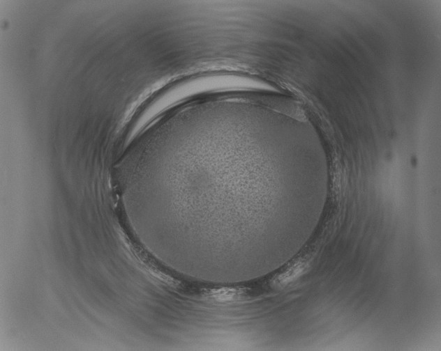 X0000056000064200509021715