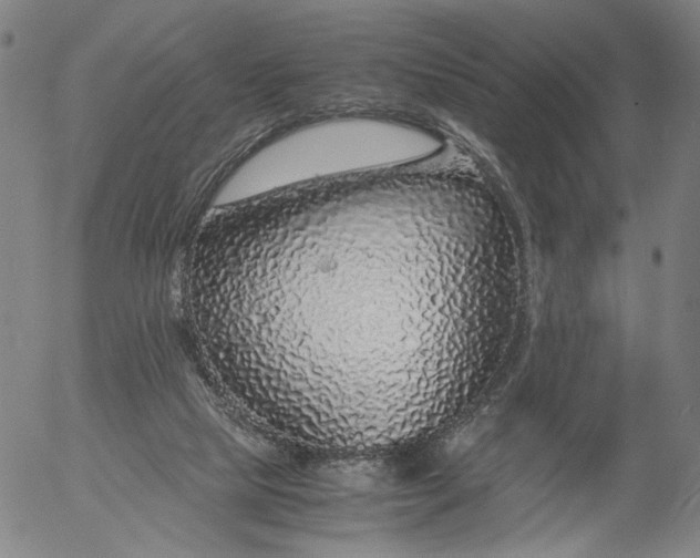 X0000056000065200509021715