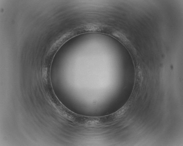 X0000056000066200509021715