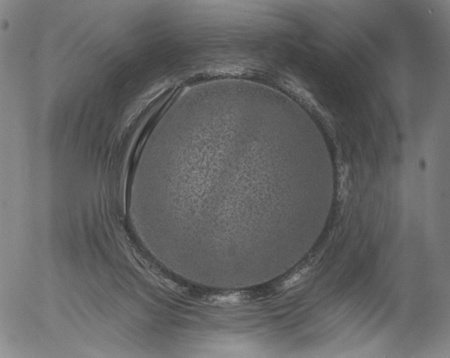 X0000056000068200509021715