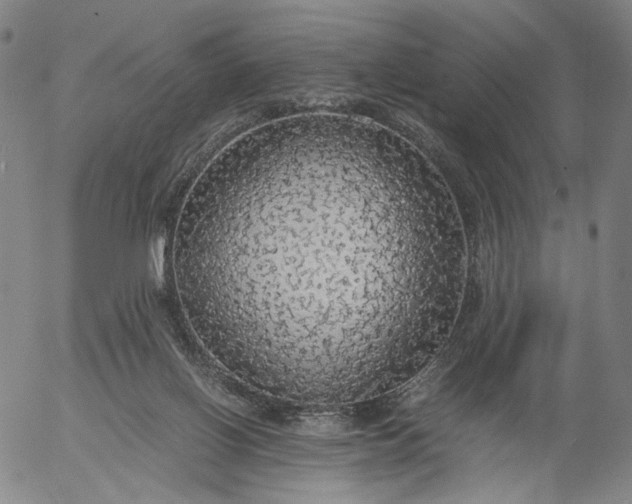 X0000056000070200509021715