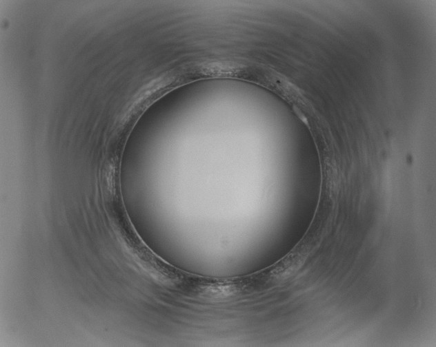 X0000056000071200509021715