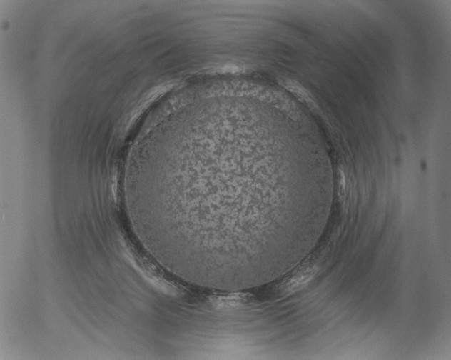 X0000056000072200509021715