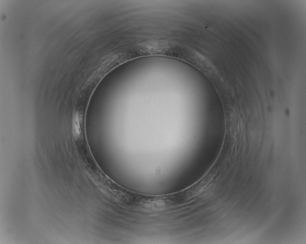 X0000056000075200509021715