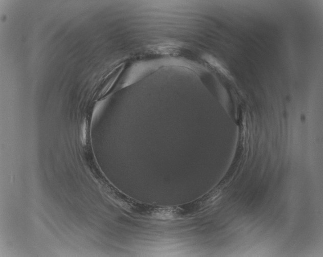 X0000056000076200509021715