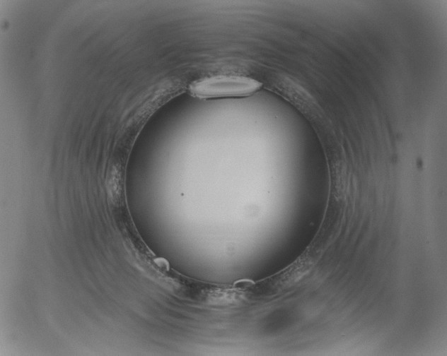 X0000056000077200509021715