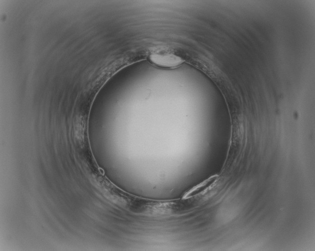 X0000056000078200509021715