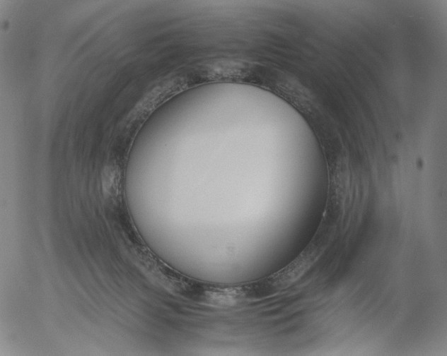 X0000056000079200509021715