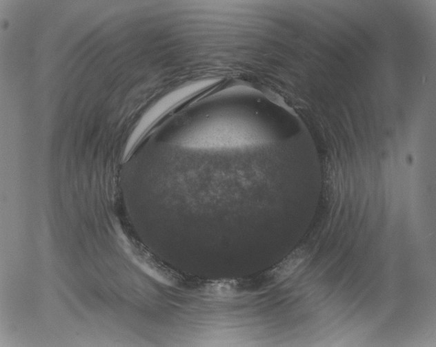 X0000056000080200509021715