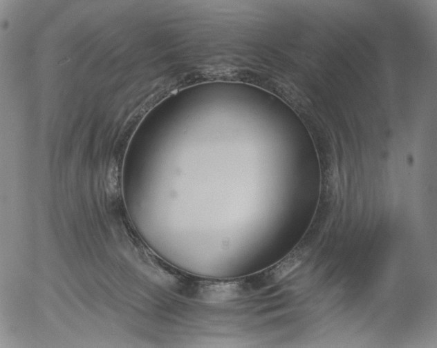 X0000056000081200509021715