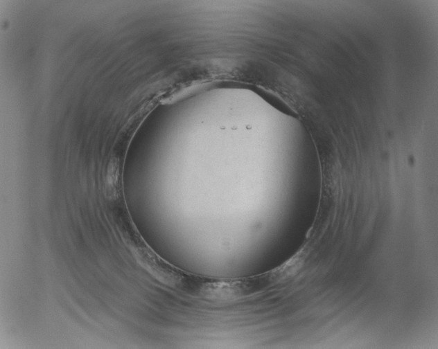 X0000056000082200509021715