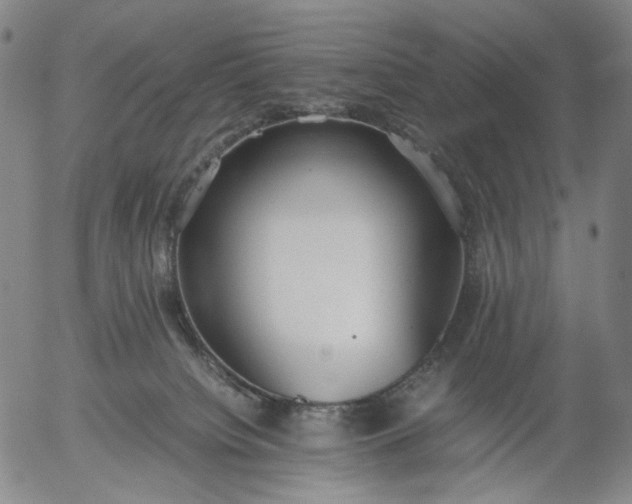 X0000056000084200509021715