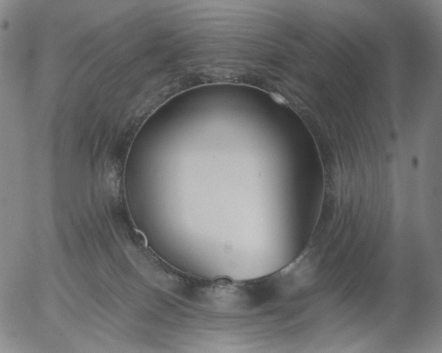 X0000056000086200509021715