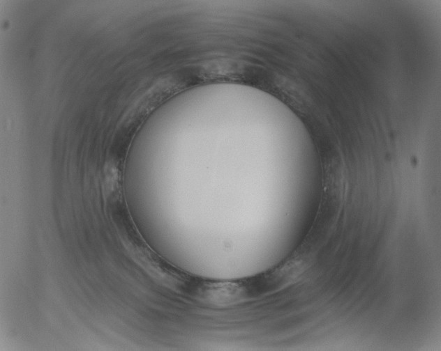 X0000056000087200509021715