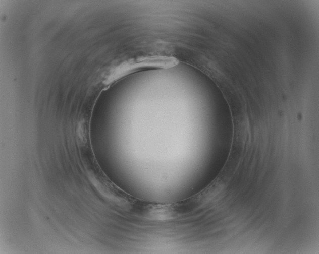 X0000056000088200509021715