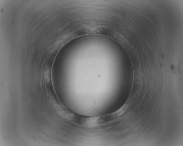 X0000056000090200509021715