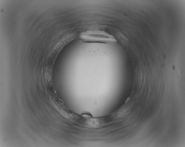 X0000056000091200509021715