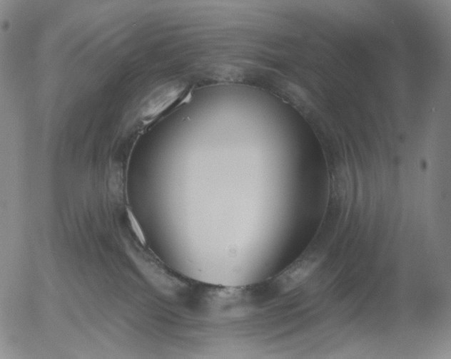 X0000056000092200509021715