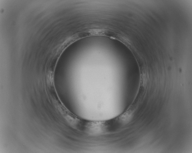 X0000056000093200509021715