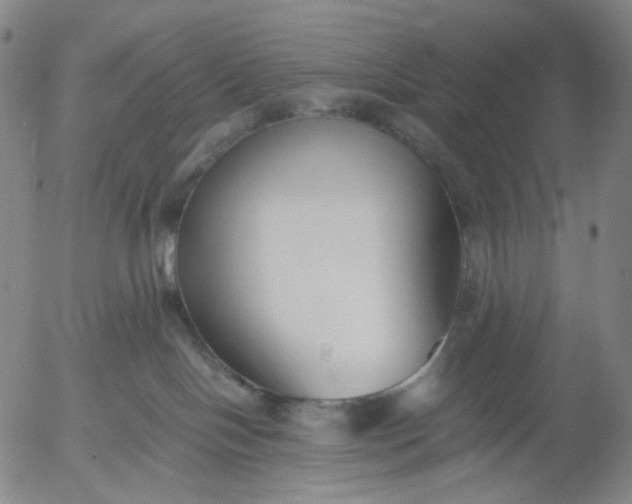 X0000056000094200509021715