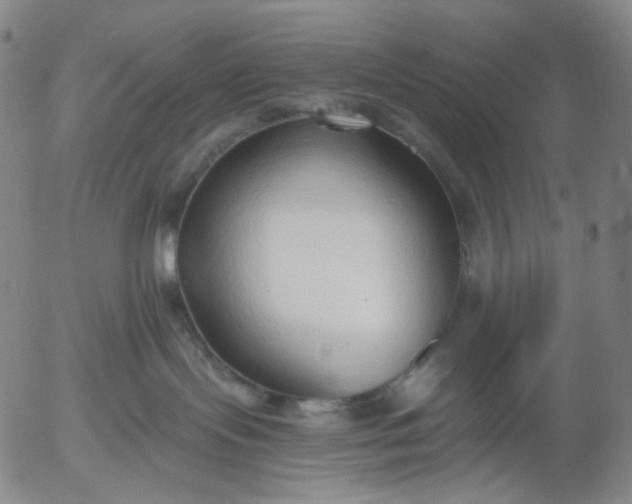 X0000056000095200509021715