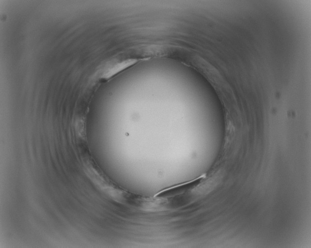 X0000056000096200509021715