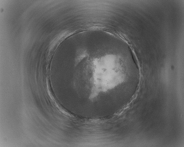 X0000056000097200509021714