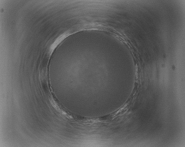 X0000056000099200509021714