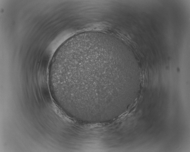 X0000056000100200509021714