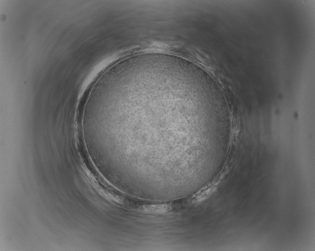 X0000056000102200509021714