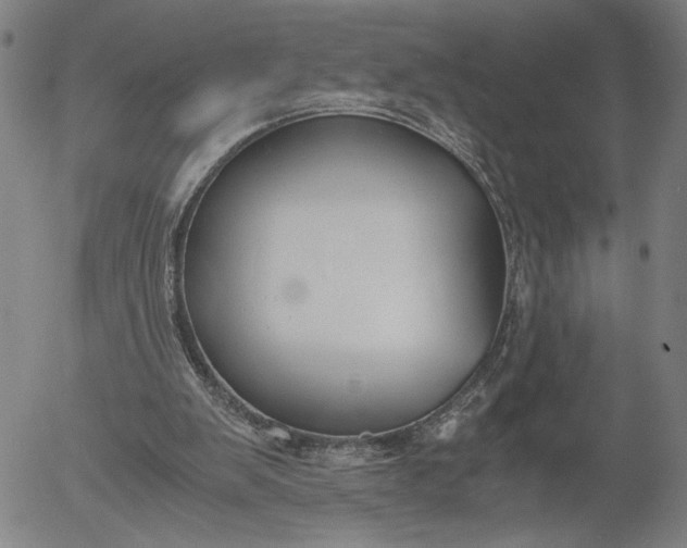 X0000056000103200509021714