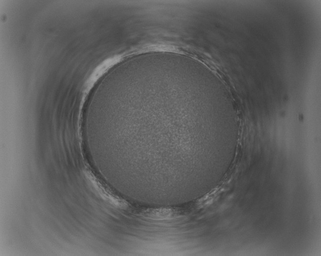 X0000056000104200509021714