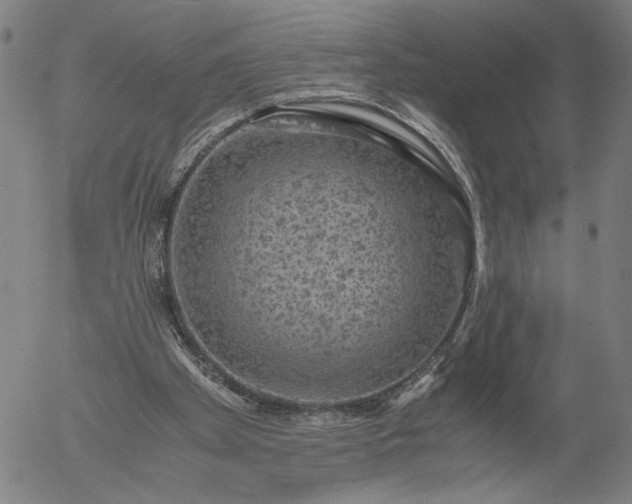 X0000056000105200509021714