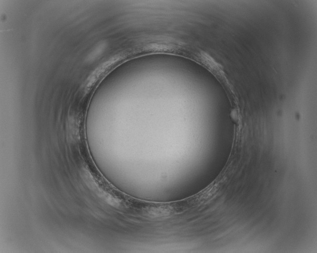 X0000056000106200509021714