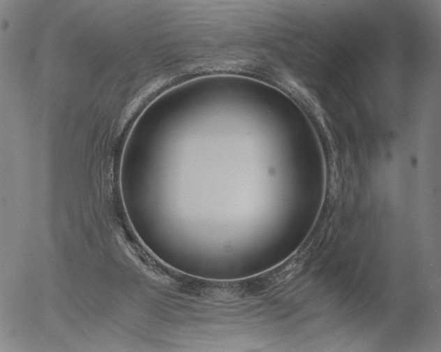 X0000056000107200509021714