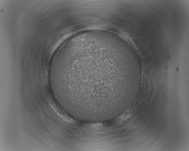 X0000056000108200509021714