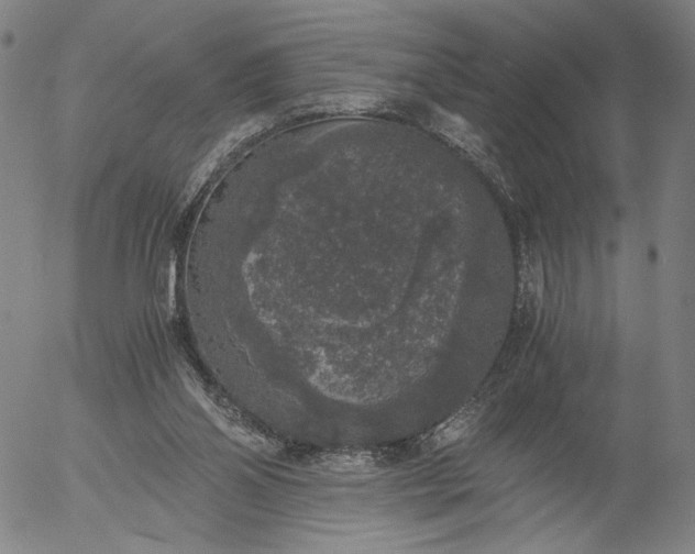 X0000056000110200509021714