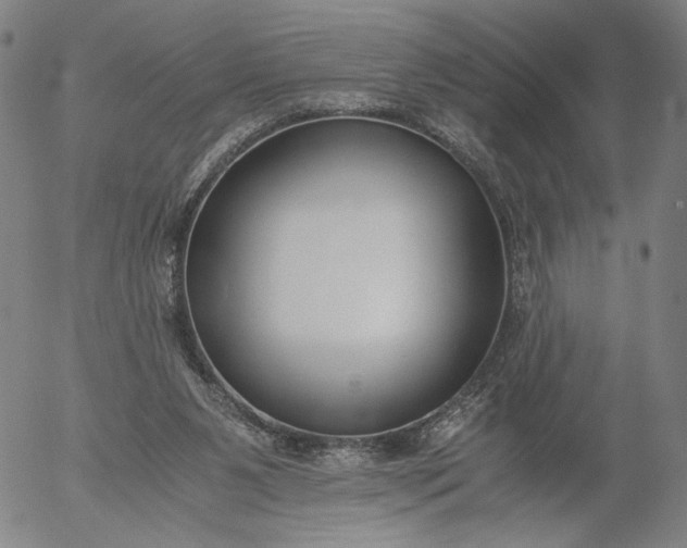 X0000056000111200509021714