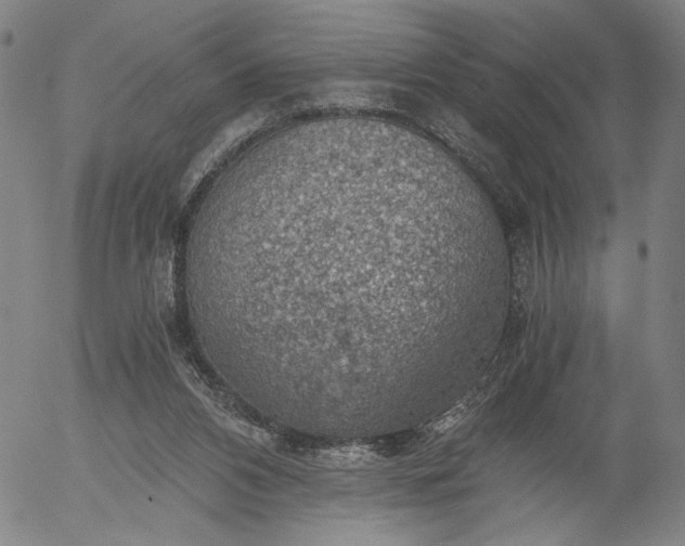 X0000056000112200509021714