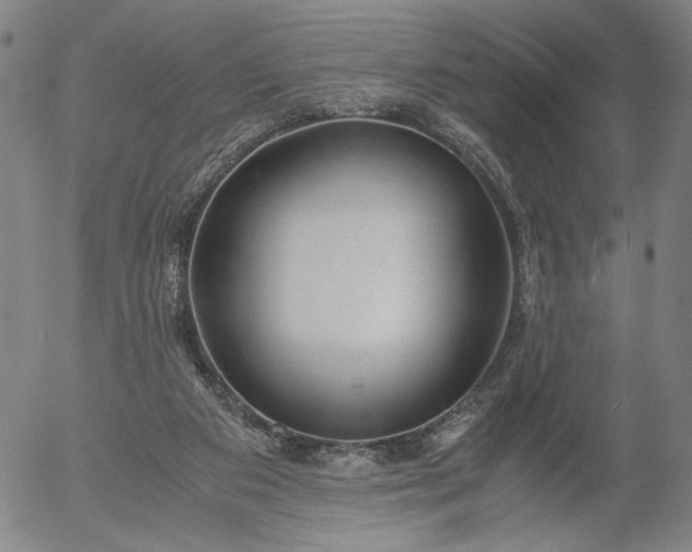 X0000056000113200509021714