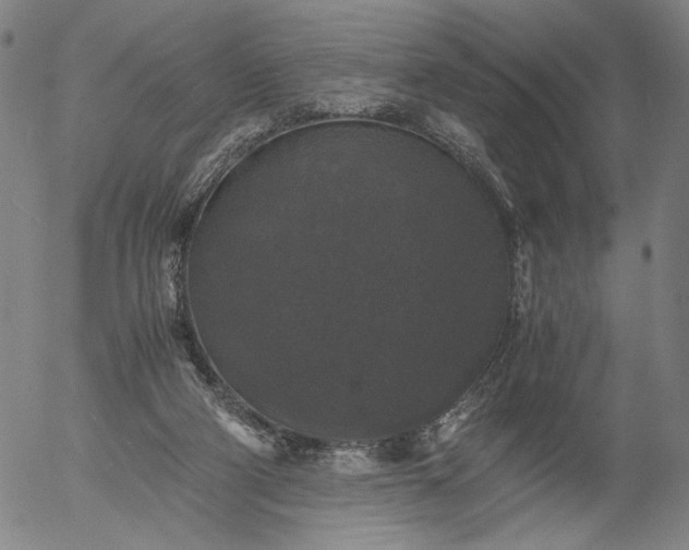 X0000056000114200509021714