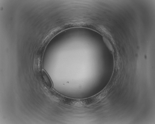 X0000056000115200509021714