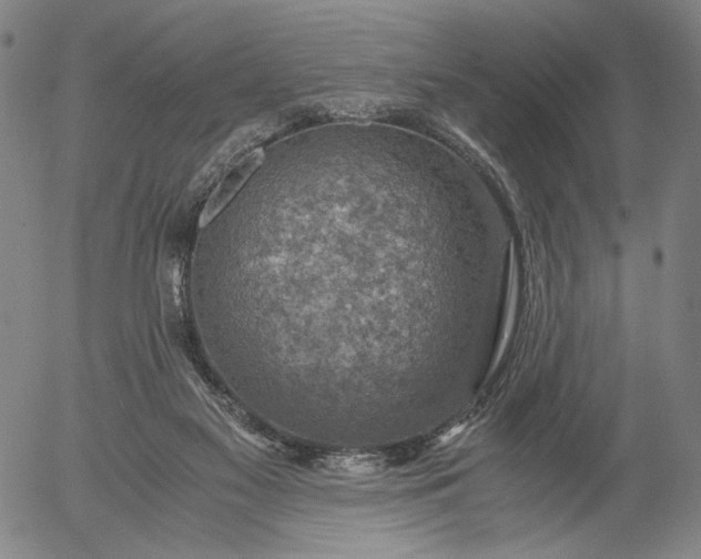 X0000056000117200509021714