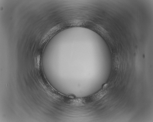 X0000056000118200509021714